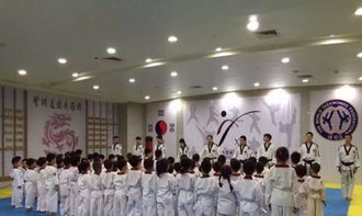 跆拳道可以自学吗？报班费用与跆拳道馆选择指南