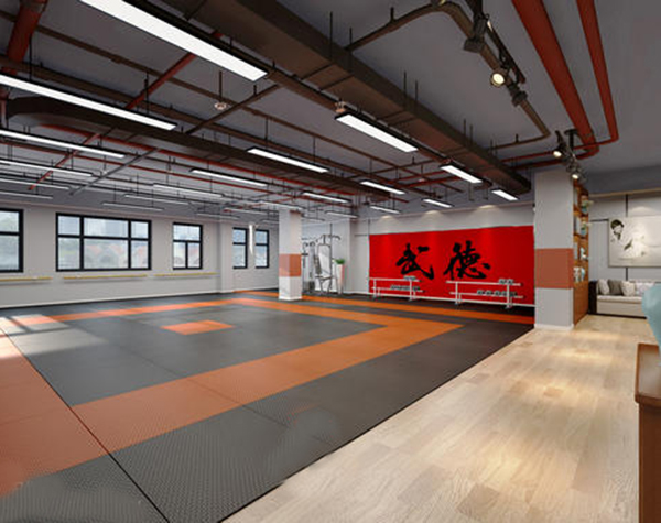 跆拳道馆费概览与影响分析