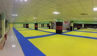 金湖最像宋仲基的男人，开了一家超人气跆拳道馆，文末有福利！