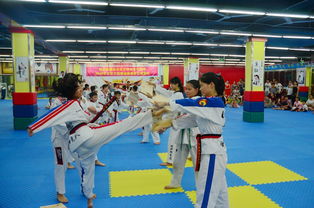 登仙岭社区携手胜世跆拳道馆助力‘三市一区’创建工作汇报演出圆满举行