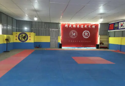 传承武道精神，铸就卓越人生——精武跆拳道馆欢迎您